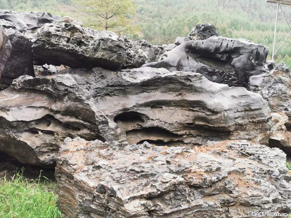 风景石、假山石大量有货，有需要的欢迎联系 - 新手上路 - 佳木斯生活社区 - 佳木斯28生活网 jms.28life.net