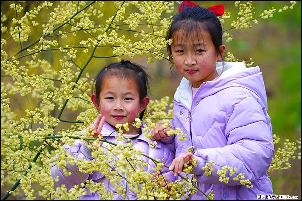 【春天，广西桂林灌阳县向您发出邀请！】米珠山前有片山苍子花在飘香 - 游山玩水 - 佳木斯生活社区 - 佳木斯28生活网 jms.28life.net