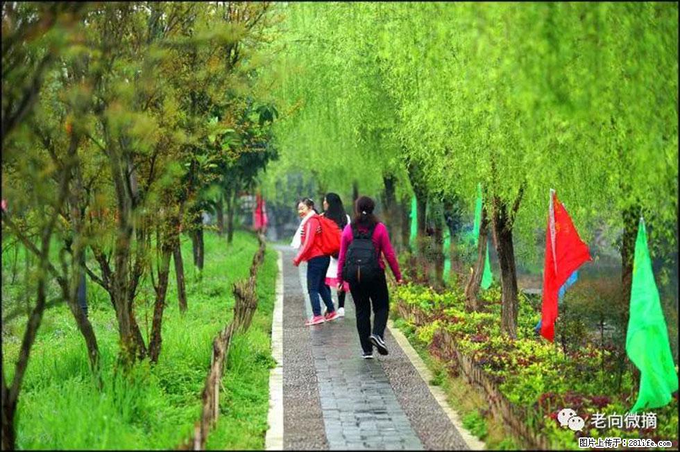 【春天，广西桂林灌阳县向您发出邀请！】江口老街又逢春 - 游山玩水 - 佳木斯生活社区 - 佳木斯28生活网 jms.28life.net