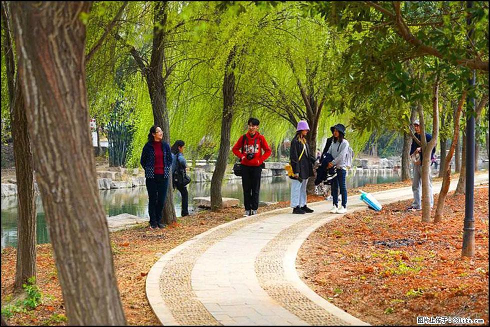 【春天，广西桂林灌阳县向您发出邀请！】江口老街又逢春 - 游山玩水 - 佳木斯生活社区 - 佳木斯28生活网 jms.28life.net