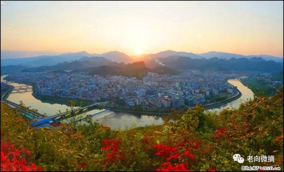【春天，广西桂林灌阳县向您发出邀请！】登麒麟山，相约映山红 - 游山玩水 - 佳木斯生活社区 - 佳木斯28生活网 jms.28life.net