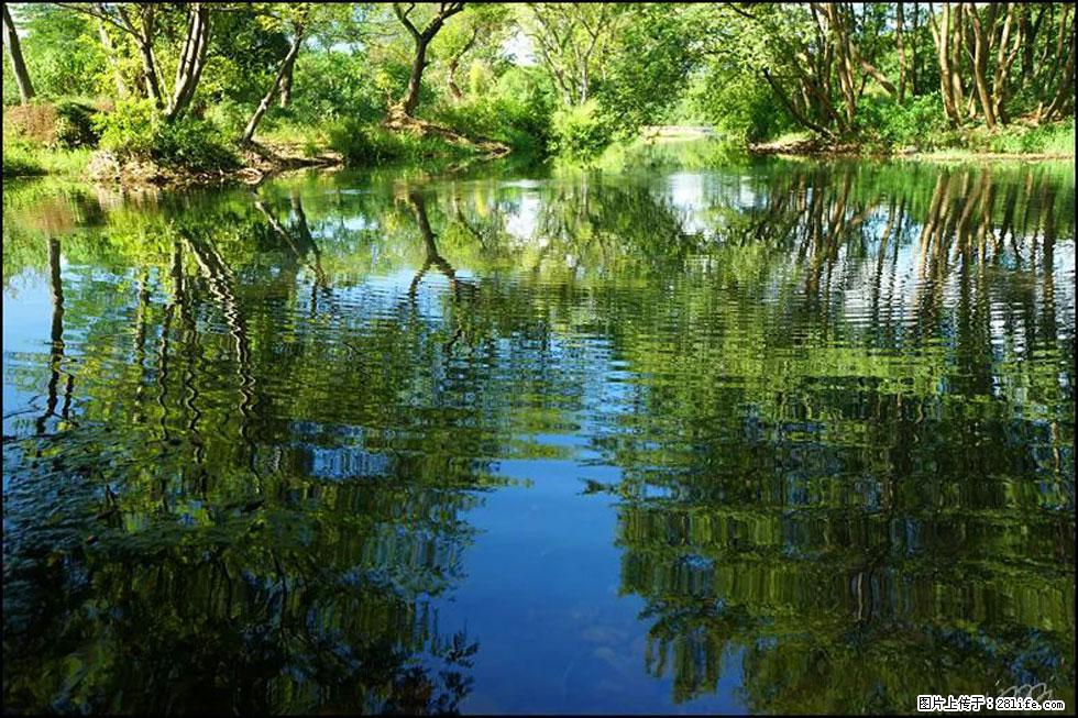 【春天，广西桂林灌阳县向您发出邀请！】熊家寨湿地公园 - 游山玩水 - 佳木斯生活社区 - 佳木斯28生活网 jms.28life.net