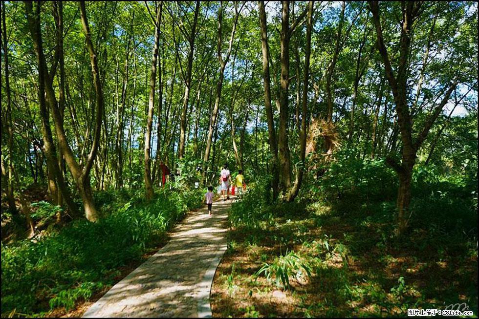 【春天，广西桂林灌阳县向您发出邀请！】熊家寨湿地公园 - 游山玩水 - 佳木斯生活社区 - 佳木斯28生活网 jms.28life.net