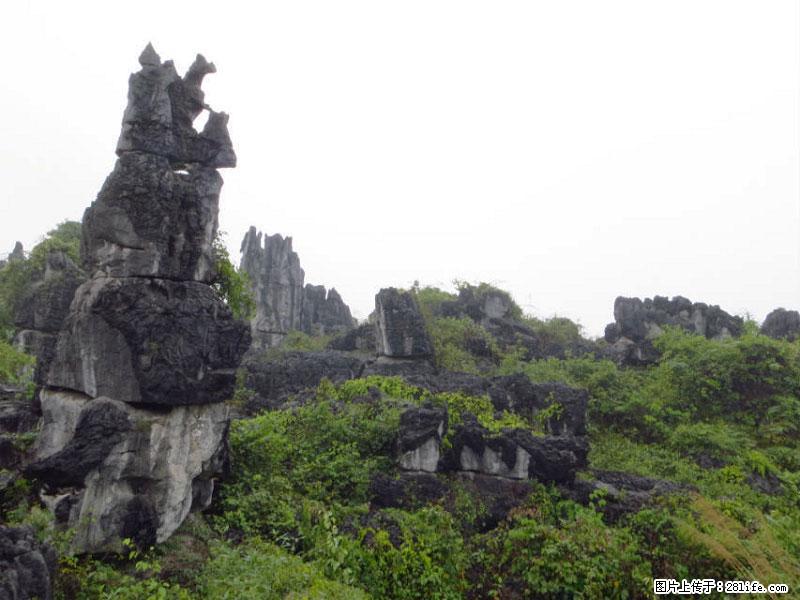 桂林旅游名城景点:灌阳文市石林 - 游山玩水 - 佳木斯生活社区 - 佳木斯28生活网 jms.28life.net