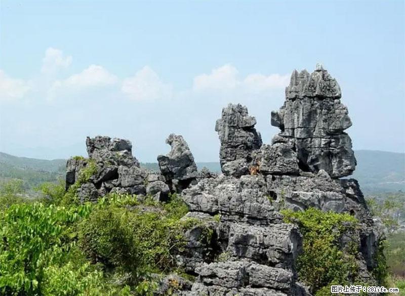 桂林旅游名城景点:灌阳文市石林 - 游山玩水 - 佳木斯生活社区 - 佳木斯28生活网 jms.28life.net