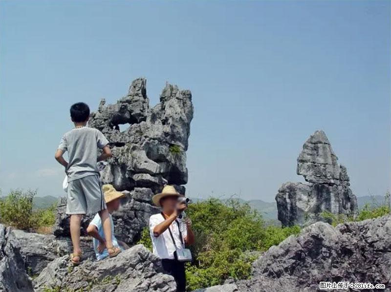 桂林旅游名城景点:灌阳文市石林 - 游山玩水 - 佳木斯生活社区 - 佳木斯28生活网 jms.28life.net