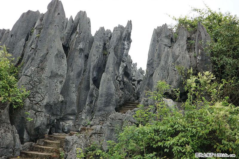 桂林旅游名城景点:灌阳文市石林 - 游山玩水 - 佳木斯生活社区 - 佳木斯28生活网 jms.28life.net