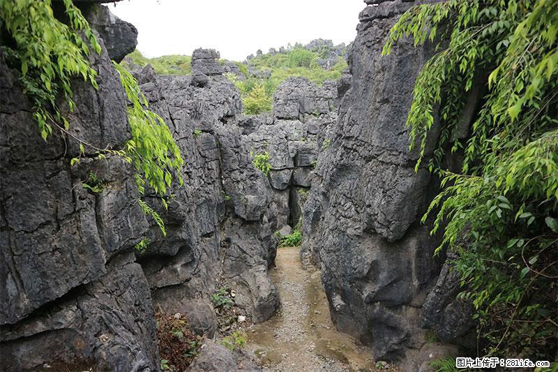 桂林旅游名城景点:灌阳文市石林 - 游山玩水 - 佳木斯生活社区 - 佳木斯28生活网 jms.28life.net