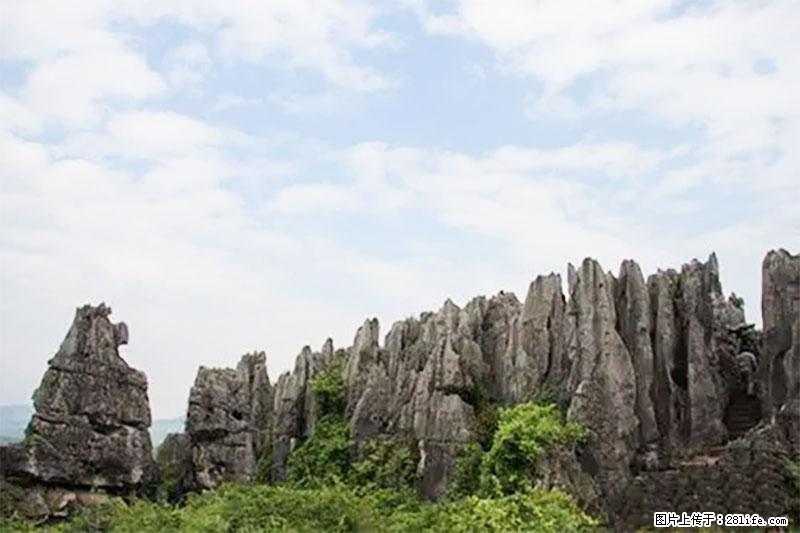桂林旅游名城景点:灌阳文市石林 - 游山玩水 - 佳木斯生活社区 - 佳木斯28生活网 jms.28life.net