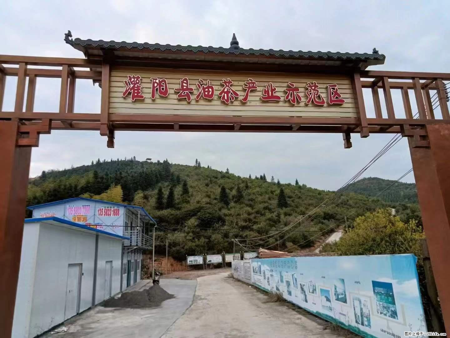 【灌阳县油茶产业示范区】一个有着充实的精神生活的人，对待身外之物自会有一种淡泊的态度 - 美食天地 - 佳木斯生活社区 - 佳木斯28生活网 jms.28life.net