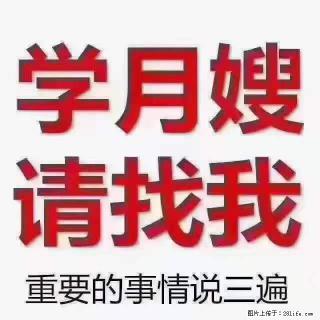 为什么要学习月嫂，育婴师？ - 佳木斯28生活网 jms.28life.net