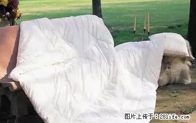 被子有异味？只要这样做，比晒太阳还强100倍！ - 家居生活 - 佳木斯生活社区 - 佳木斯28生活网 jms.28life.net