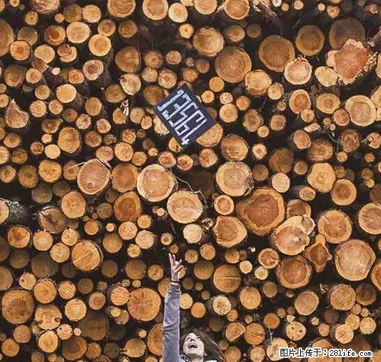 辞掉工作周游世界？现在他们在洗厕所…… - 游山玩水 - 佳木斯生活社区 - 佳木斯28生活网 jms.28life.net