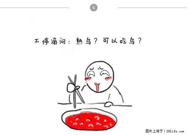 千万不要和这9种哈卵一起吃火锅！ - 美食天地 - 佳木斯生活社区 - 佳木斯28生活网 jms.28life.net