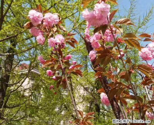 家天下谷峰家园高层52平米热水器衣柜冰箱干净明亮暖和 - 房屋出租 - 房屋租售 - 佳木斯分类信息 - 佳木斯28生活网 jms.28life.net