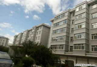 政府政务中心附近地热楼63平米550月年付 - 佳木斯28生活网 jms.28life.net