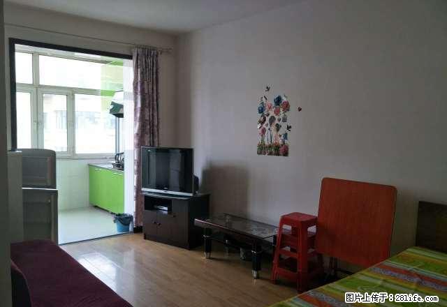 福兴家园高层，报业大厦，4楼，一室一厅，60平，床，电视 - 房屋出租 - 房屋租售 - 佳木斯分类信息 - 佳木斯28生活网 jms.28life.net