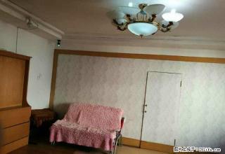 教育三小区，九中二小，78平，3楼，两室一厅，床，衣柜，热水 - 佳木斯28生活网 jms.28life.net