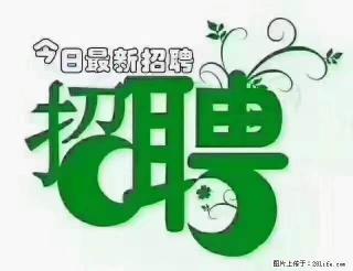 【招聘摄像师】待遇：试用期6000元/月，转正7000元/月+五险一金+餐补+节日福利+奖金 - 佳木斯28生活网 jms.28life.net