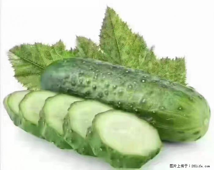 【生活小常识】吃黄瓜的好处 - 生活百科 - 佳木斯生活社区 - 佳木斯28生活网 jms.28life.net
