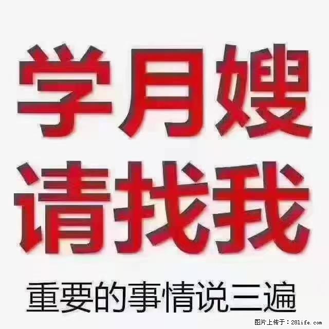 【招聘】月嫂，上海徐汇区 - 职场交流 - 佳木斯生活社区 - 佳木斯28生活网 jms.28life.net