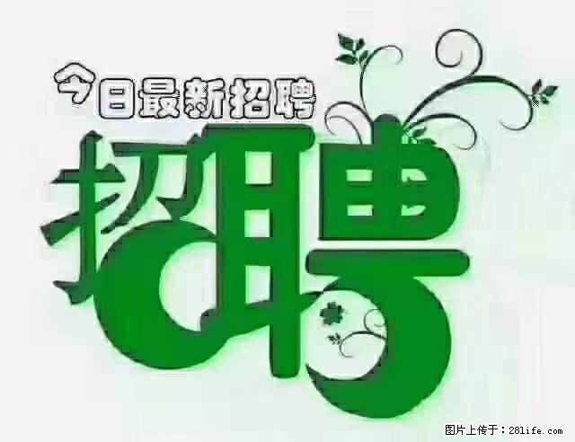 上海青浦区招仓管 - 职场交流 - 佳木斯生活社区 - 佳木斯28生活网 jms.28life.net