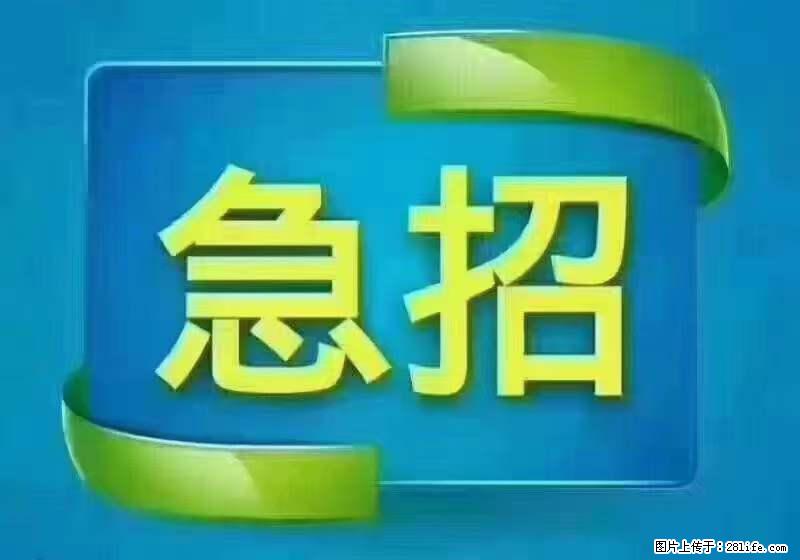 招财务,有会计证的,熟手会计1.1万底薪,上海五险一金,包住,包工作餐,做六休一 - 职场交流 - 佳木斯生活社区 - 佳木斯28生活网 jms.28life.net