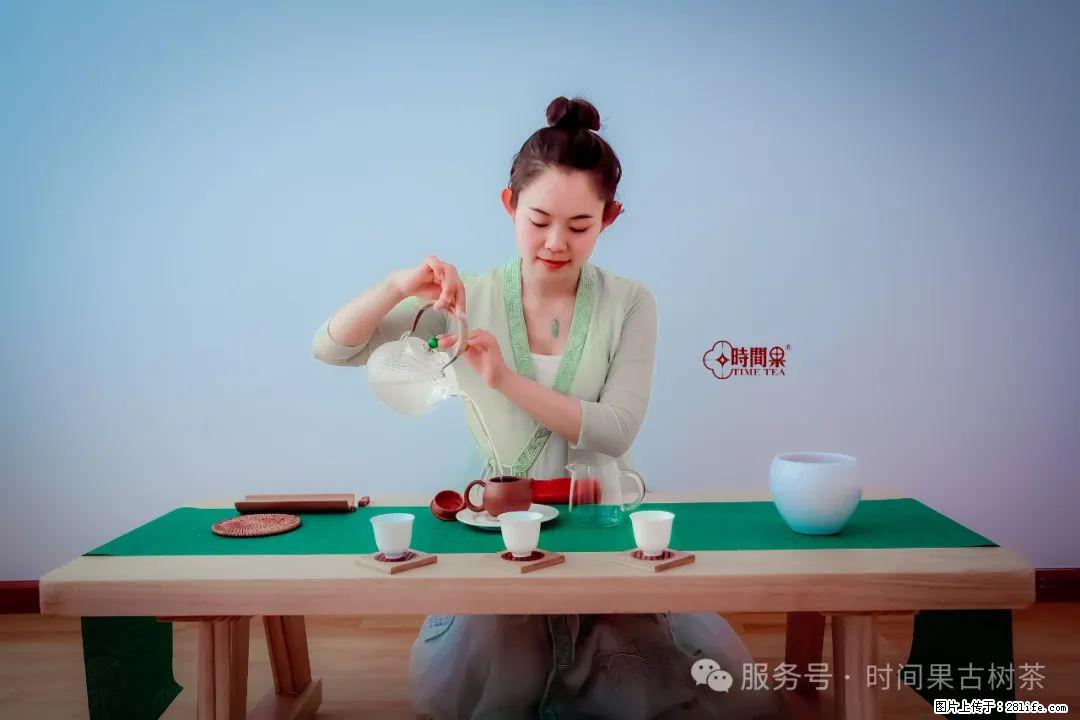 时间果百年古树龙珠普洱生茶 - 购物交流 - 佳木斯生活社区 - 佳木斯28生活网 jms.28life.net