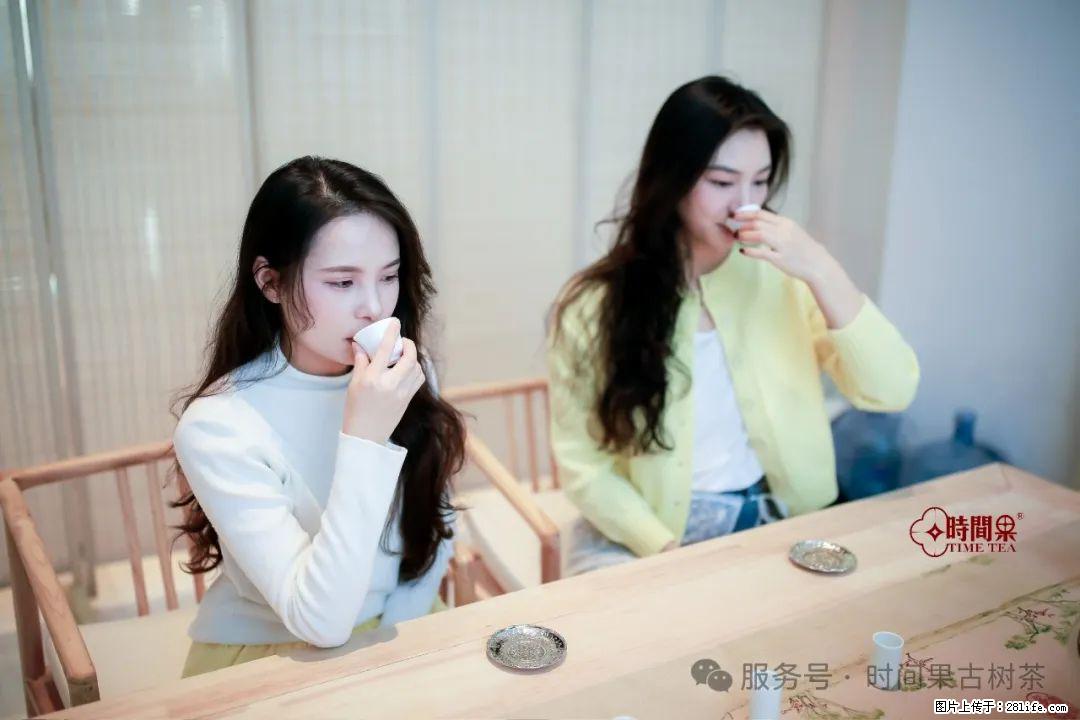 时间果百年古树龙珠普洱生茶 - 购物交流 - 佳木斯生活社区 - 佳木斯28生活网 jms.28life.net