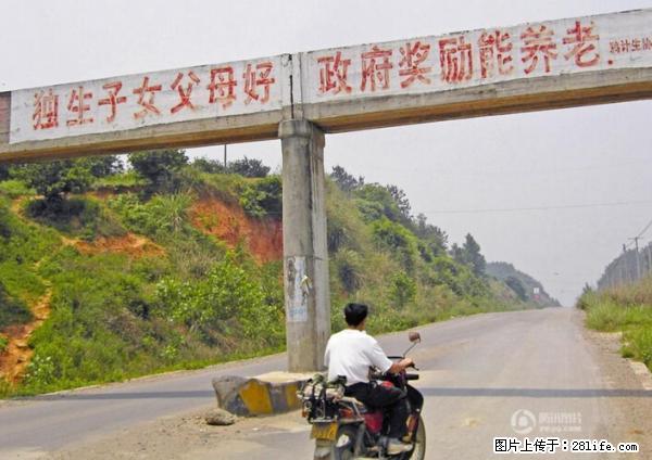 全面两孩政策计划明年元旦起实施 夫妻可延长生育假 - 佳木斯生活资讯 - 佳木斯28生活网 jms.28life.net