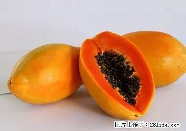 晕车、脚气、牙齿变黄、皮肤粗糙？学会这些三分钟搞定！ - 佳木斯生活资讯 - 佳木斯28生活网 jms.28life.net