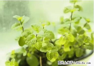 晕车、脚气、牙齿变黄、皮肤粗糙？学会这些三分钟搞定！ - 佳木斯生活资讯 - 佳木斯28生活网 jms.28life.net