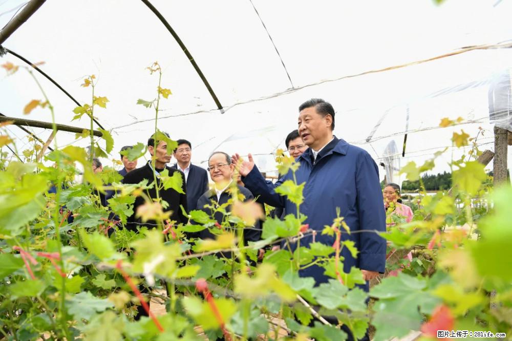 习近平赴广西考察调研 - 佳木斯生活资讯 - 佳木斯28生活网 jms.28life.net