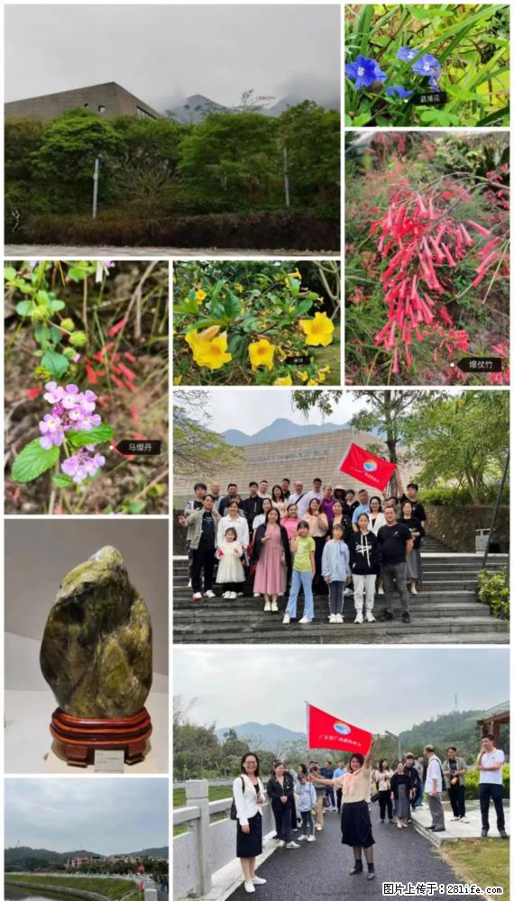 “粤灌文化 美好生活”油茶文化主题活动在广东深圳成功举办 - 佳木斯生活资讯 - 佳木斯28生活网 jms.28life.net