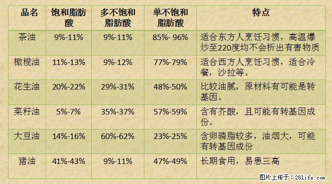 揭秘茶油的5大核心营养成分！被称为人体健康的“守护盾”！ - 佳木斯生活资讯 - 佳木斯28生活网 jms.28life.net