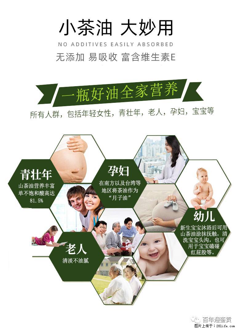 世界没有真相，只有认知，最好的食用油是中国的山茶油！ - 佳木斯生活资讯 - 佳木斯28生活网 jms.28life.net