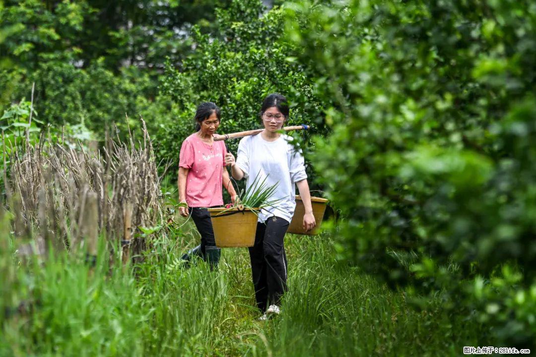 全网追的“扁担女孩”，找了一份暑假工，时薪12元 - 佳木斯生活资讯 - 佳木斯28生活网 jms.28life.net