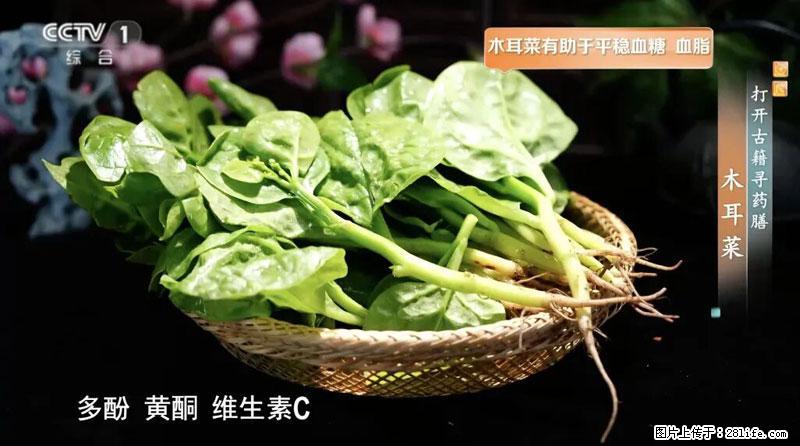 比牛奶补钙还厉害！凉血解毒、稳血糖...这菜冬天必吃，很多人却当草 - 佳木斯生活资讯 - 佳木斯28生活网 jms.28life.net
