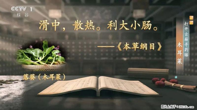 比牛奶补钙还厉害！凉血解毒、稳血糖...这菜冬天必吃，很多人却当草 - 佳木斯生活资讯 - 佳木斯28生活网 jms.28life.net