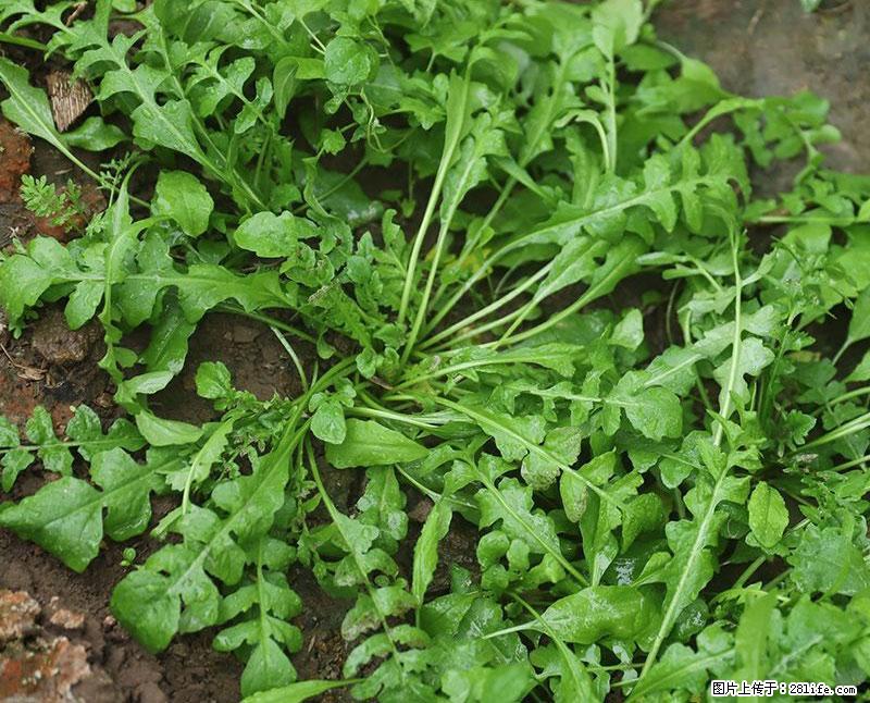 这些蔬菜是“天然钙片”，这6种被医生重点推荐 - 佳木斯生活资讯 - 佳木斯28生活网 jms.28life.net