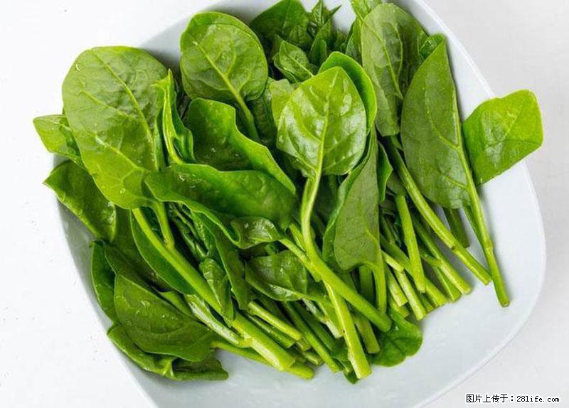 这些蔬菜是“天然钙片”，这6种被医生重点推荐 - 佳木斯生活资讯 - 佳木斯28生活网 jms.28life.net